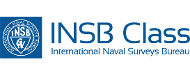 INSB logo